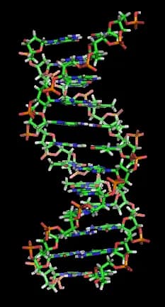 Double-helix structure of DNA is published, representing the Science timeline